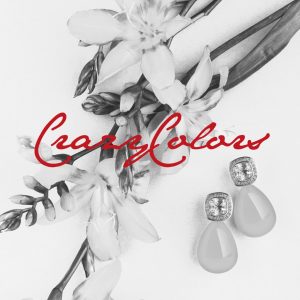CrazyColors - Branding